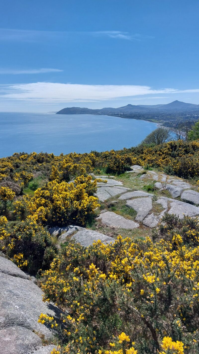 View, Killiney Hill, Co Dublin
