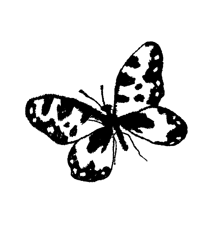 resting-butterfly_03