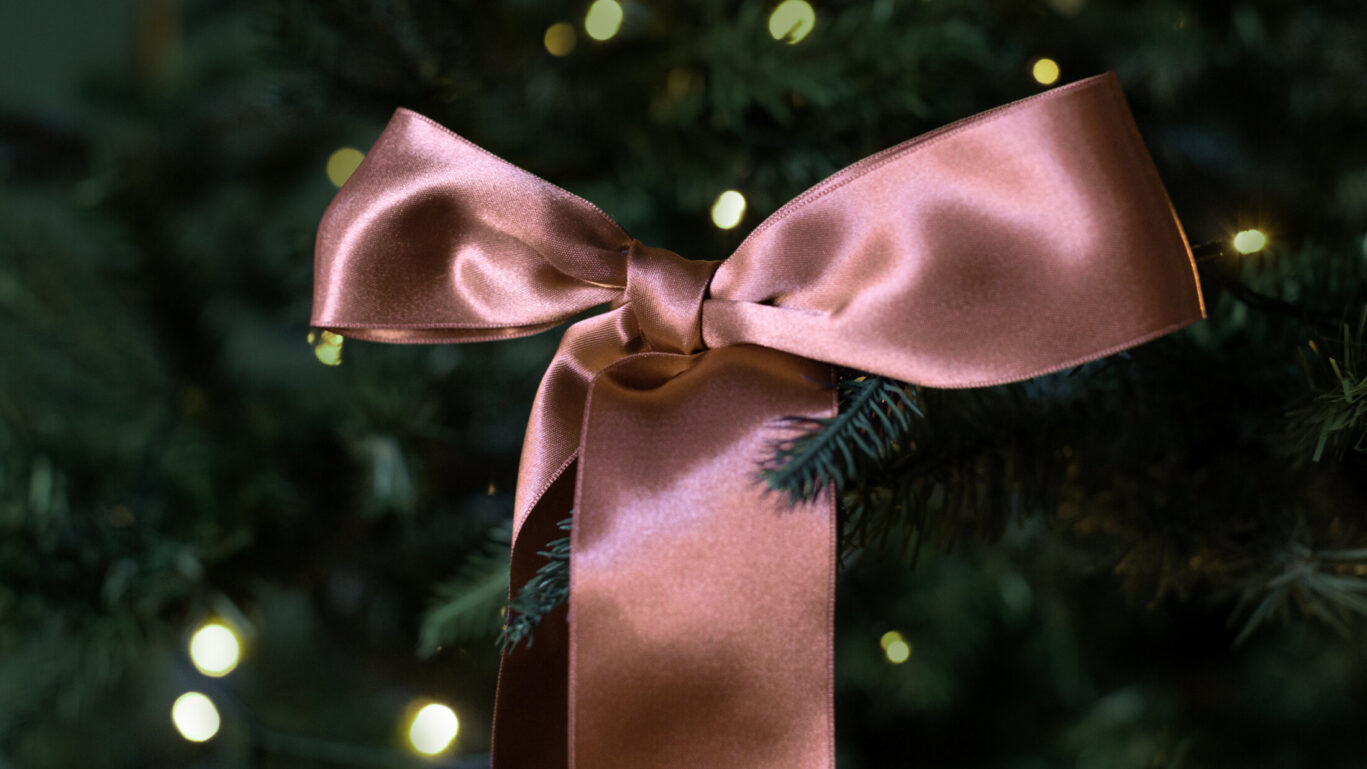 xmas banners_no_text 24